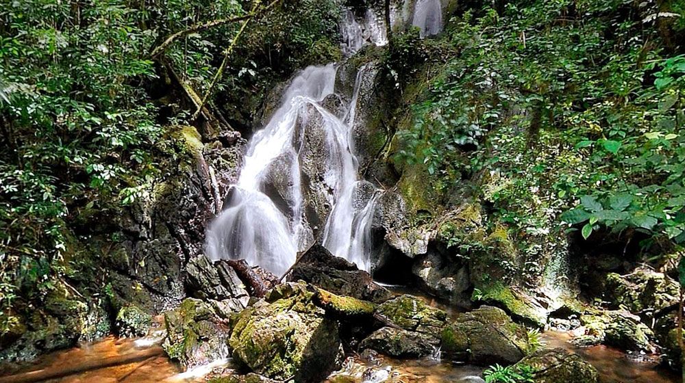 Cachoeira Ara