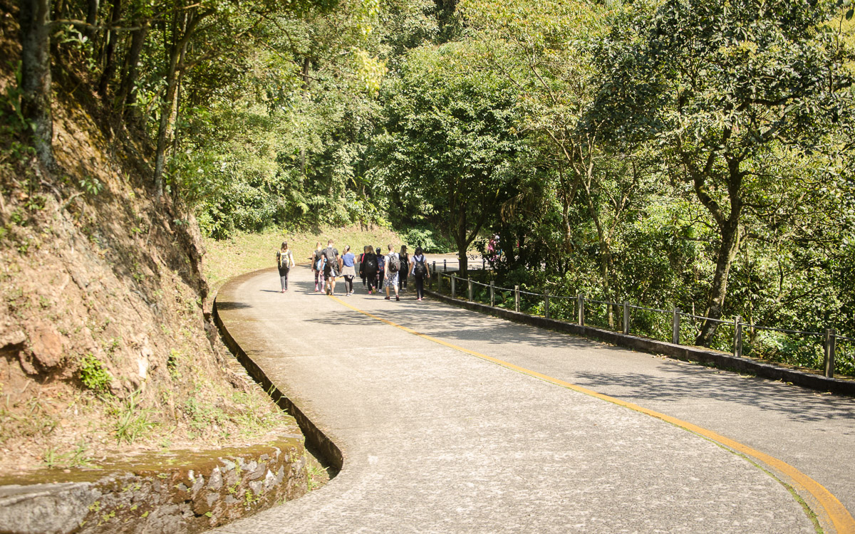 Estrada Velha de Santos