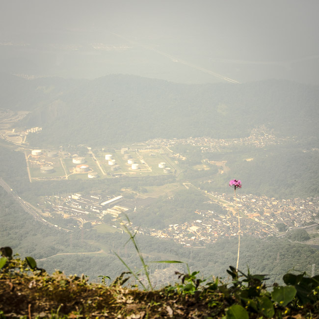 Passeio Estrada Velha de Santos