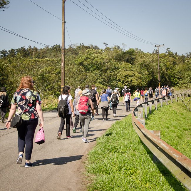 Passeio Estrada Velha de Santos