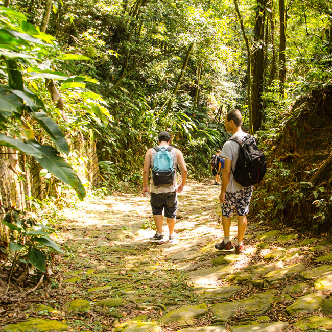 Passeio Estrada Velha de Santos