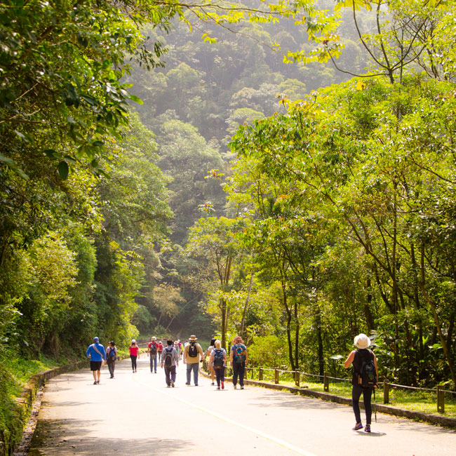 Passeio Estrada Velha de Santos