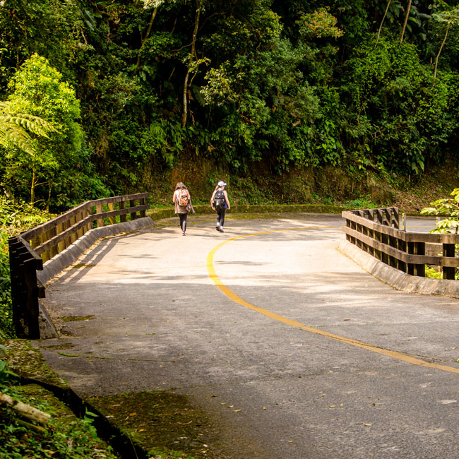 Passeio Estrada Velha de Santos