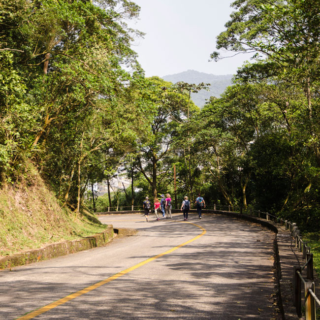 Passeio Estrada Velha de Santos