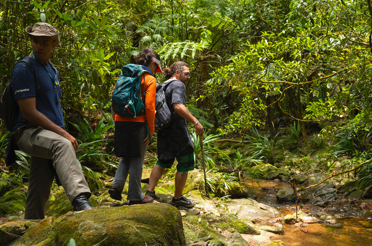 Caminho Histrico trilha Cachoeira da Torre