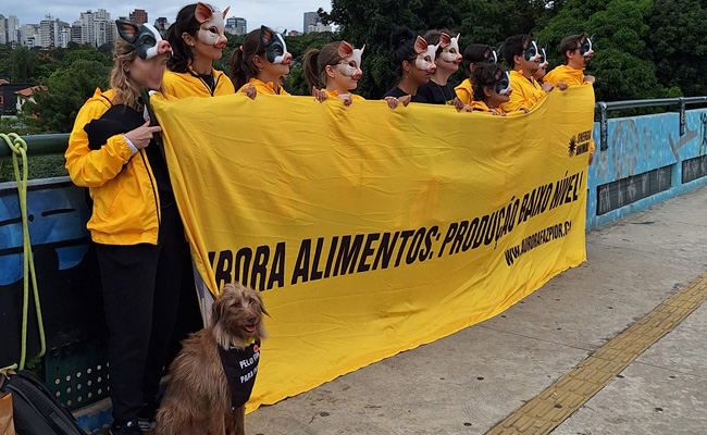 Turismo de Aventura para Grupos em S�o Paulo - Sinergia Animal